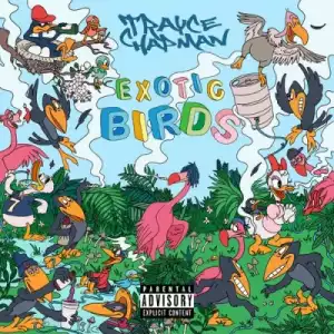 Exotic Birds BY Trayce Chapman